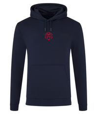 Max Verstappen Driver Hoodie
